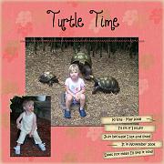 Turtle Time